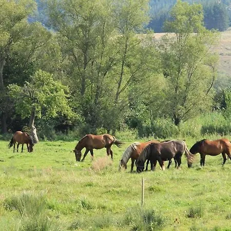 شقة Lift - Fortuna